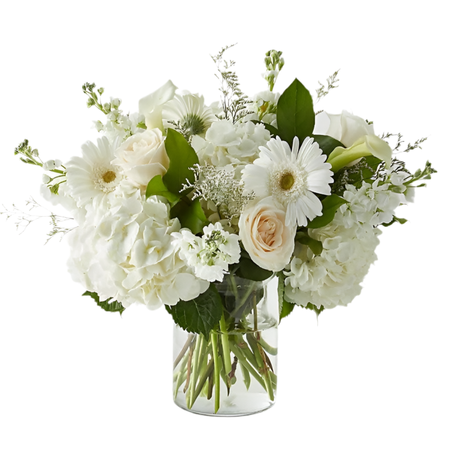 Hortensias De Rosas Blancas