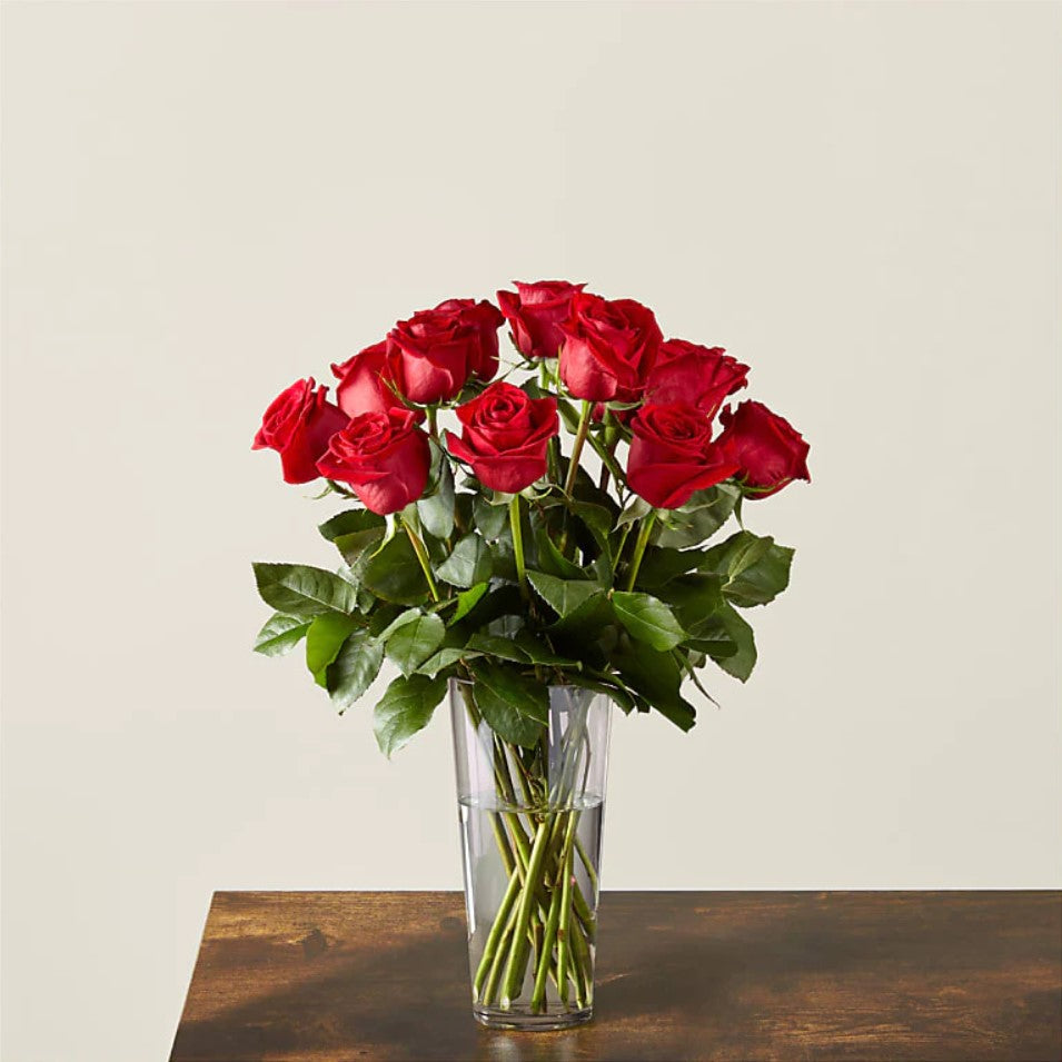 
                  
                    12 Long Stem Red Roses Bouquet In A Vase, Special Rose Bouquets And Arrangements, Rose Delivery, Anniversary Flowers & Gifts, Romantic Flowers & Gifts, Mother´s Day, Valentine’s Day. Bouquets Flowers in Coral Gables, Miami, Delivery Flowers, Florist in Coral Gables.
                  
                