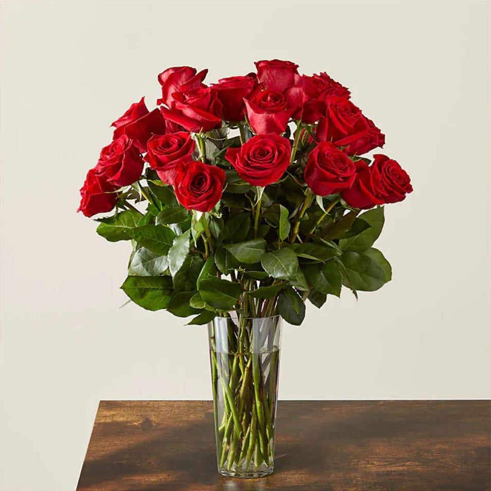 
                  
                    24 Long Stem Red Roses Bouquet In A Vase, Special Rose Bouquets And Arrangements, Rose Delivery, Anniversary Flowers & Gifts, Romantic Flowers & Gifts, Mother´s Day, Valentine’s Day. Bouquets Flowers in Coral Gables, Miami, Delivery Flowers, Florist in Coral Gables.
                  
                