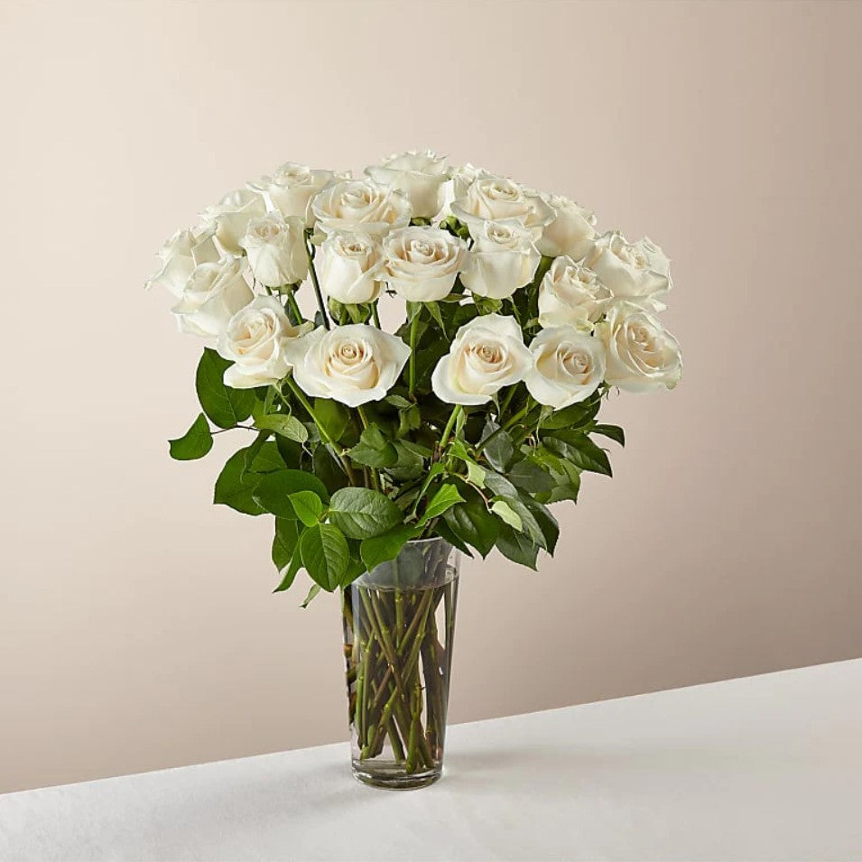 
                  
                    24 Long Stem White Roses Bouquet In A Vase, Special Rose Bouquets And Arrangements, Rose Delivery, Anniversary Flowers & Gifts, Romantic Flowers & Gifts, Mother´s Day, Valentine’s Day. Bouquets Flowers in Coral Gables, Miami, Delivery Flowers, Florist in Coral Gables.
                  
                