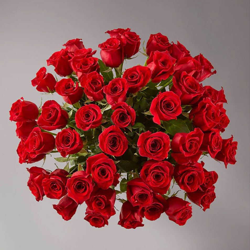 50 Long Stem Red Roses In A Vase, Special Rose Bouquets And Arrangements, Rose Delivery, Anniversary Flowers &amp; Gifts, Romantic Flowers &amp; Gifts, Mother´s Day, Valentine’s Day. Bouquets Flowers in Coral Gables, Miami, Delivery Flowers, Florist in Coral Gables.
