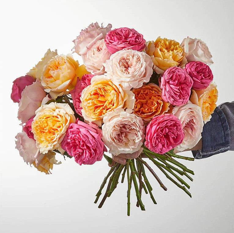 
                  
                    Roses Bouquet Color Deluxe, Bouquet And Vase, Special Rose Bouquets And Arrangements, Mother´s Day, Rose Delivery, Anniversary Flowers & Gifts, Romantic Flowers & Gifts, Valentine’s Day. Bouquets Flowers in Coral Gables, Miami, Delivery Flowers, Florist in Coral Gables.
                  
                